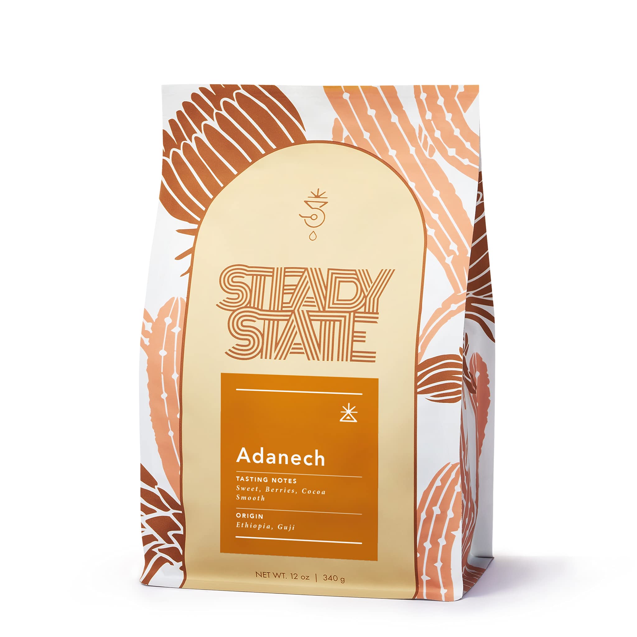 Steady State Adanech Whole Bean Coffee, 12oz Bag, Smooth Light Roast from Ethiopia with Notes of Blueberry, Apple, and Chocolate