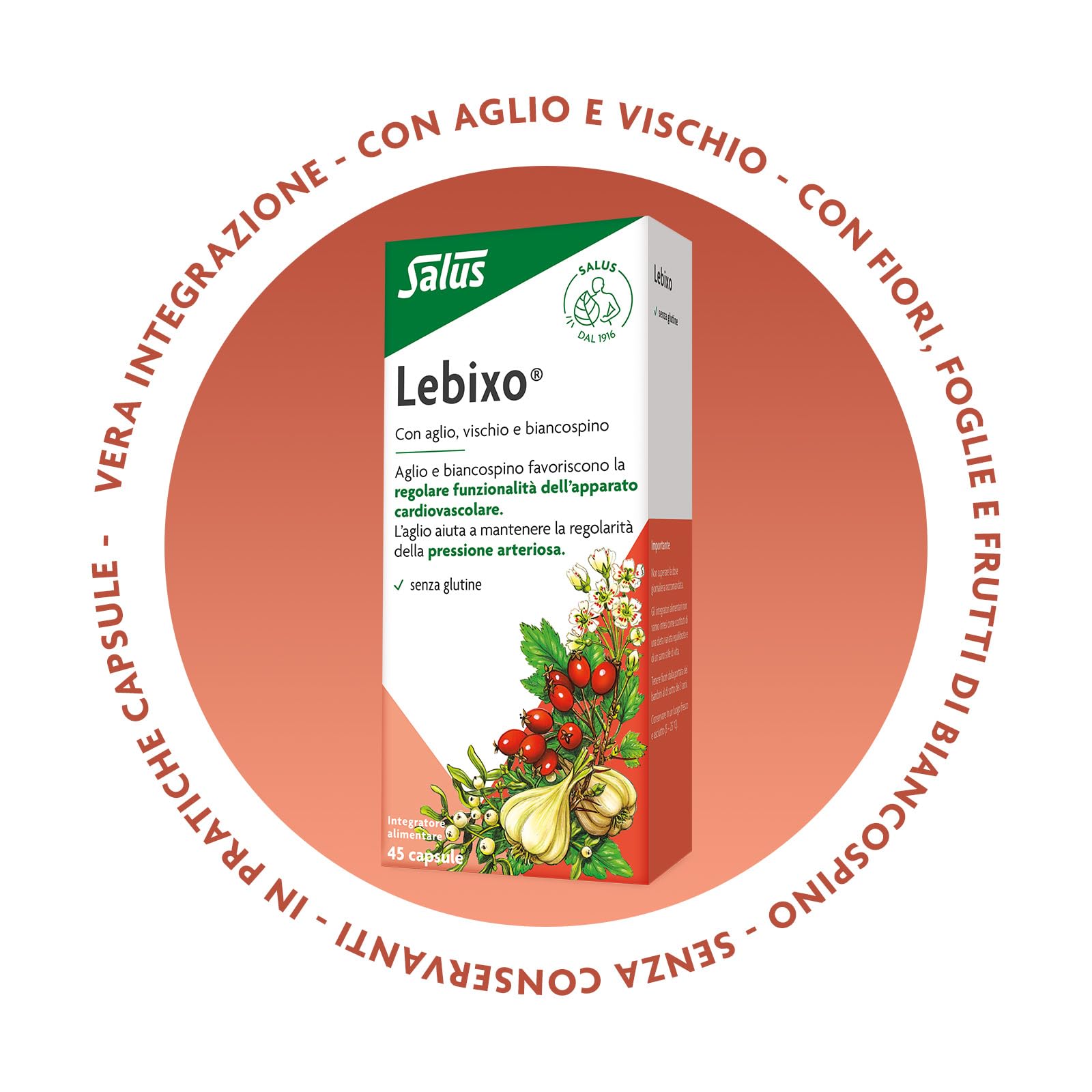 Salus Lebixo - Integratore Alimentare per la regolarità cardiovascolare e della pressione arteriosa, a base di Aglio, Vischio e Biancospino - 45 Capsule