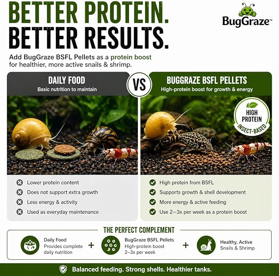 BugGraze BSFL Pellets for Snails & Shrimp High Protein Supplement Food Sinking Insect-Based Pellets for Growth & Energy Aquarium Treat for Mystery, Nerite & Shrimp 3 oz