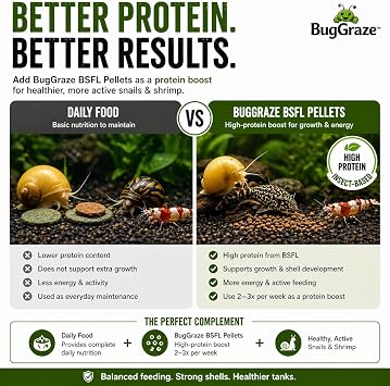 BugGraze BSFL Pellets for Snails & Shrimp High Protein Supplement Food Sinking Insect-Based Pellets for Growth & Energy Aquarium Treat for Mystery, Nerite & Shrimp 3 oz