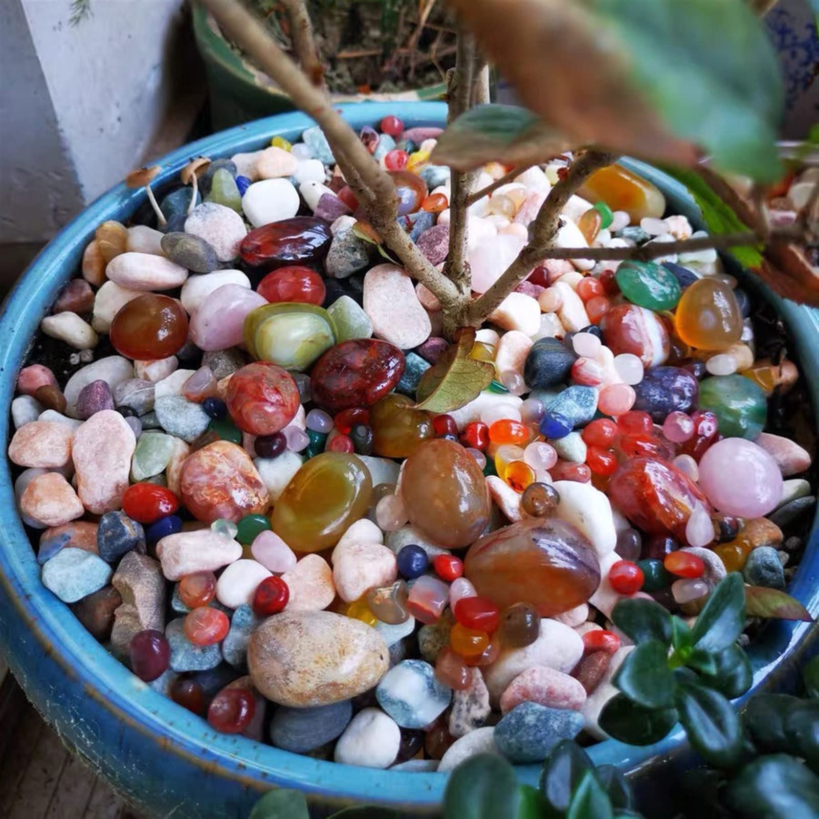 【特大!!!】天然石 置物　【10kg】ーtot029 Amazon.co.jp: 500g Yuhua Stone Original Stone Natural Pebble Fisk