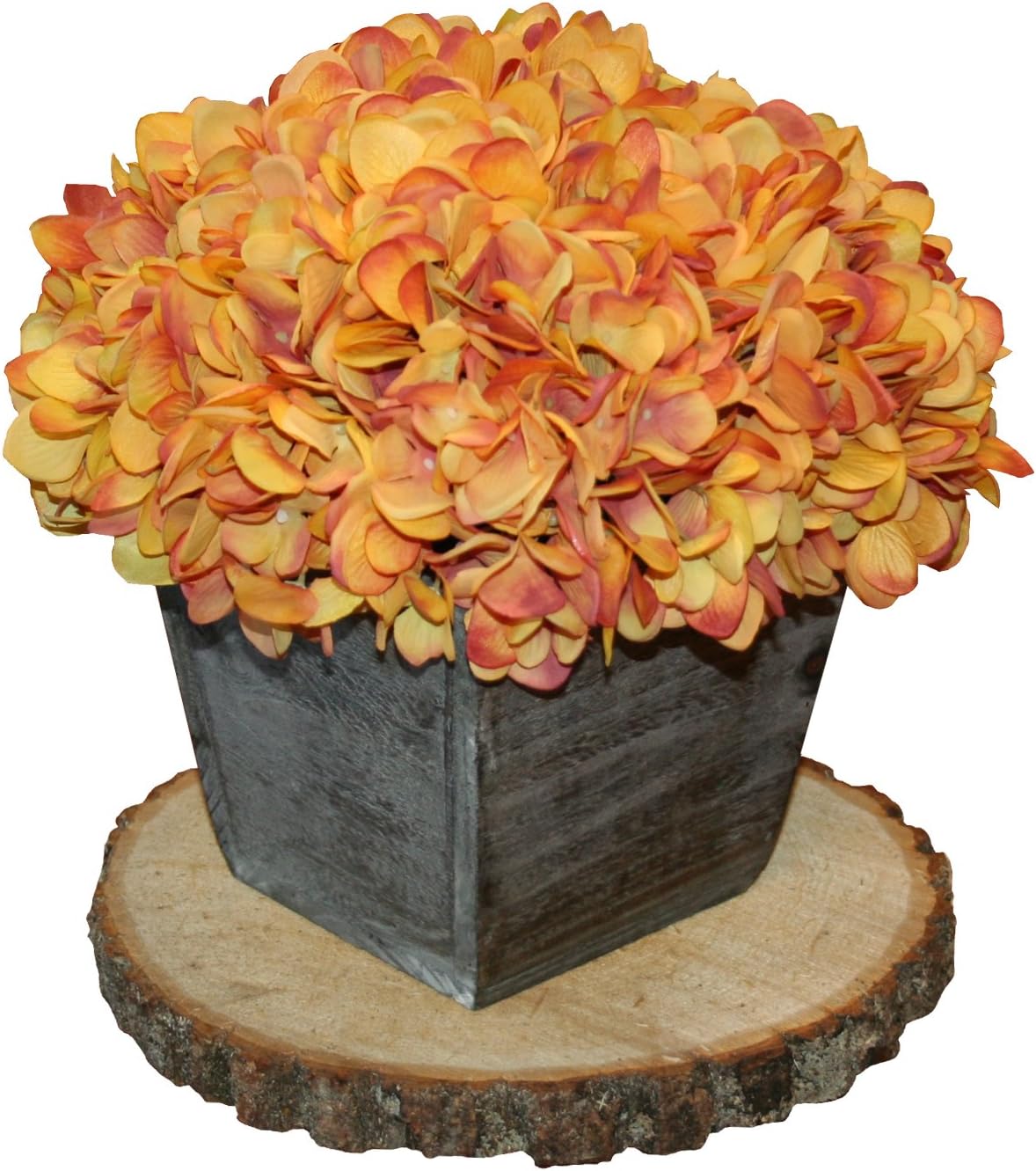 Wilson 4 Pack Basswood Round Rustic Wood, Unsanded with Cracks, 9-11 inch Diameter (Large)