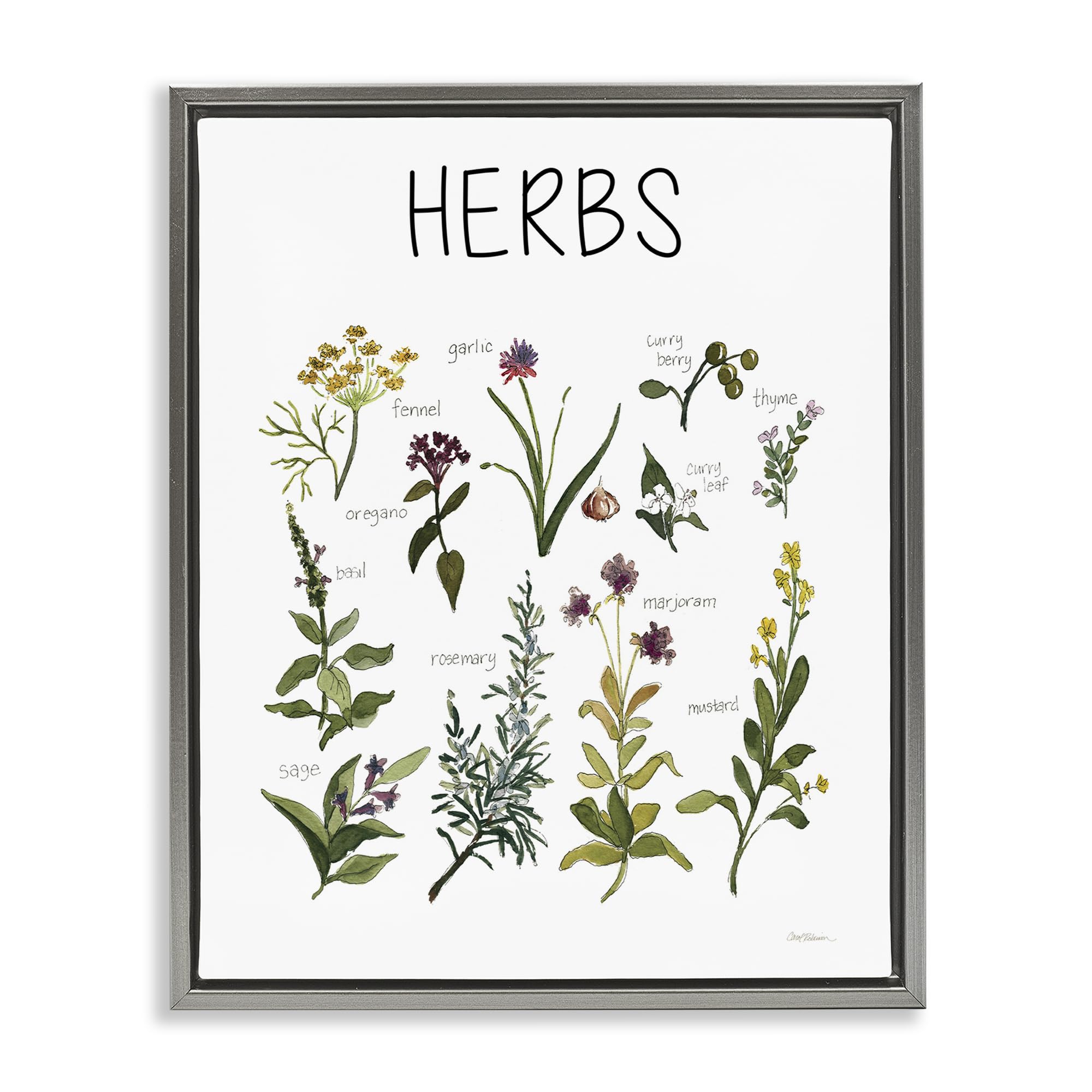 Stupell Industries Herbs Identification Chart 'Herbs Identification Chart', Floating Frame Canvas Art, Gray, 17 X 21 Inches, Easy To Hang And Sturdy, Made In Usa, By Carol Robinson