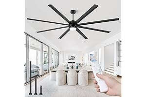 100-Inch 'Big Assed' Ceiling Fan: A Monumental Breeze Generator for Expansive Spaces