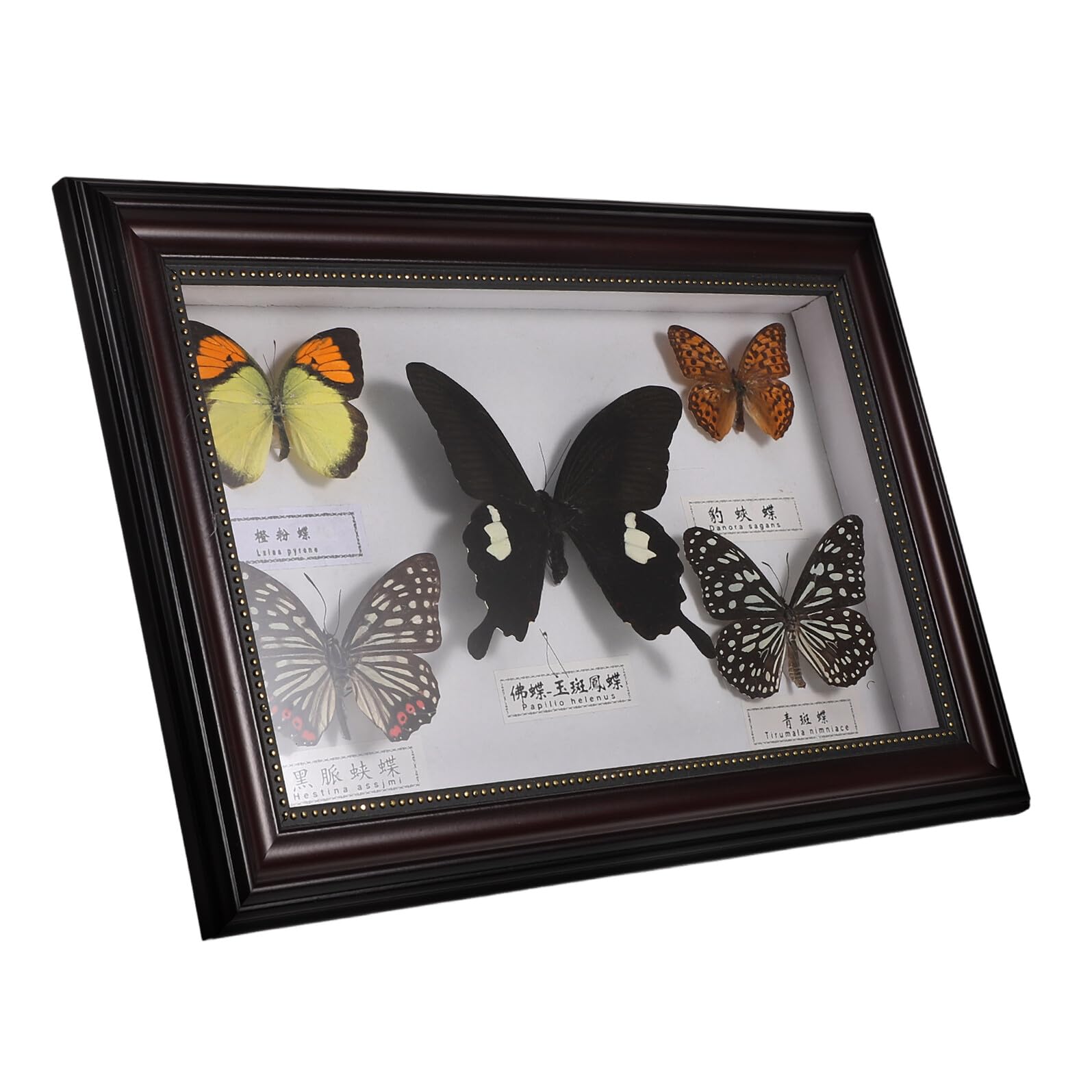 Marco de Fotos de Madera con Motivos de Mariposas para Ambiente Hogareño, Estilo Retro Práctico y Estético