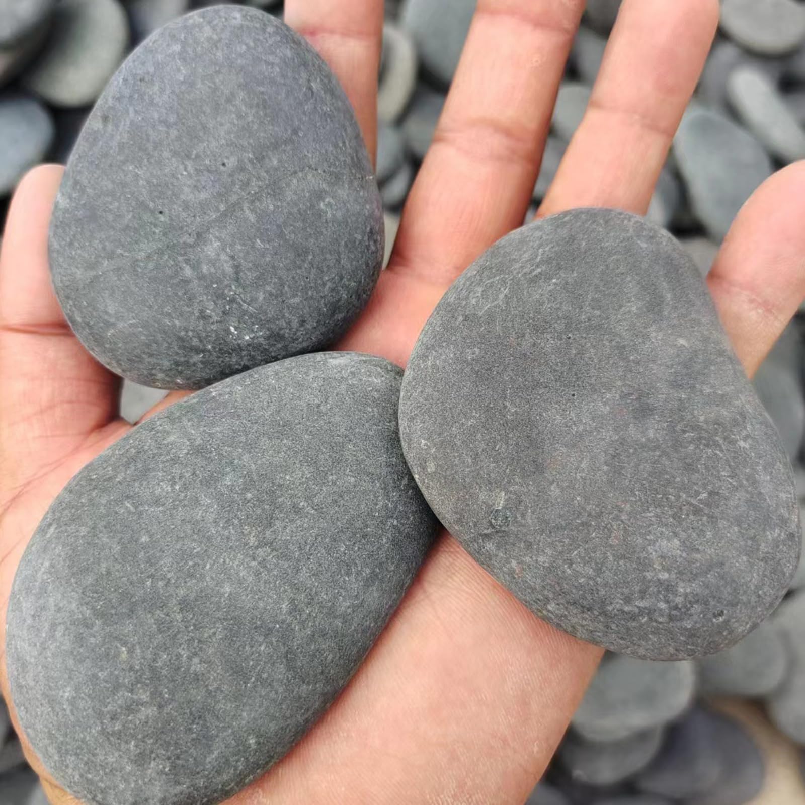 10 Pezzi Sassi da Dipingere, Ciottoli Naturali Lisci e Piatti per Pittura Fai da Te, Pietre Decorative per Acquario e Giardino, 8-10 cm
