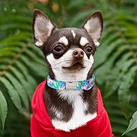 Vista 4 de Unique style paws - Collar para perro, hebilla de metal, diseño de hojas de plátano pintadas, regalo duradero, lindo, para perros pequeños, medianos