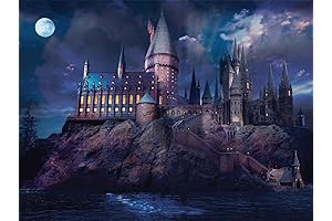 1000 Piece Jigsaw Puzzles for Adults - Magic Academy Castle Puzzle for...