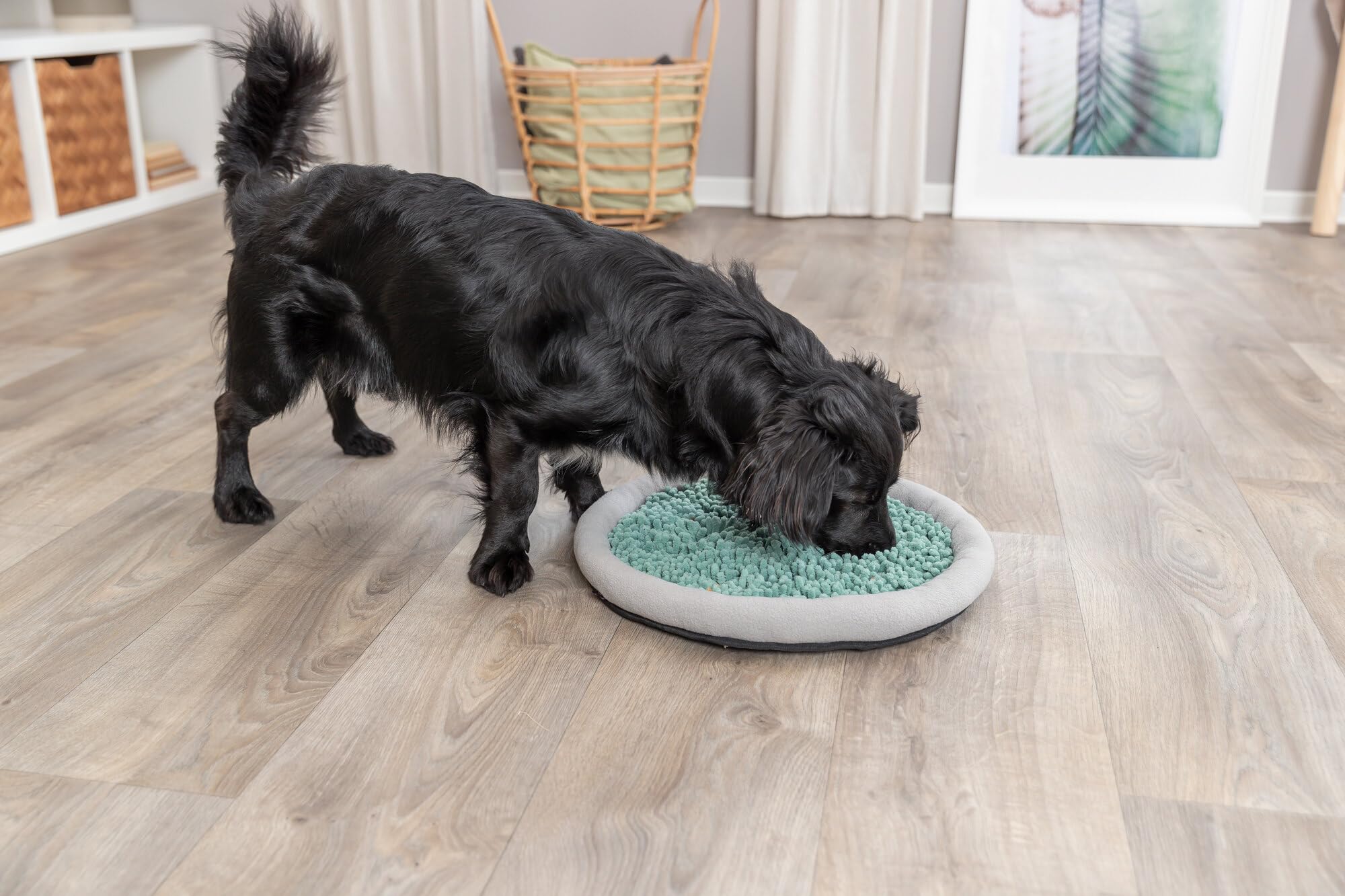 TRIXIE Snuffle & Seek Plate, Snuffle Mat for Dogs, Level 1 Interactive Dog Toys, Enrichment Puzzle Slow Feeder