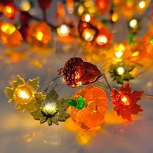 Autumn Lights - 10ft 30 Pumpkin Acorn Maple Leaf Thanksgiving Lights Decor for Halloween Autumn Home Party Fall Decorations Indoor Outdoor -1 [Energy Class A]