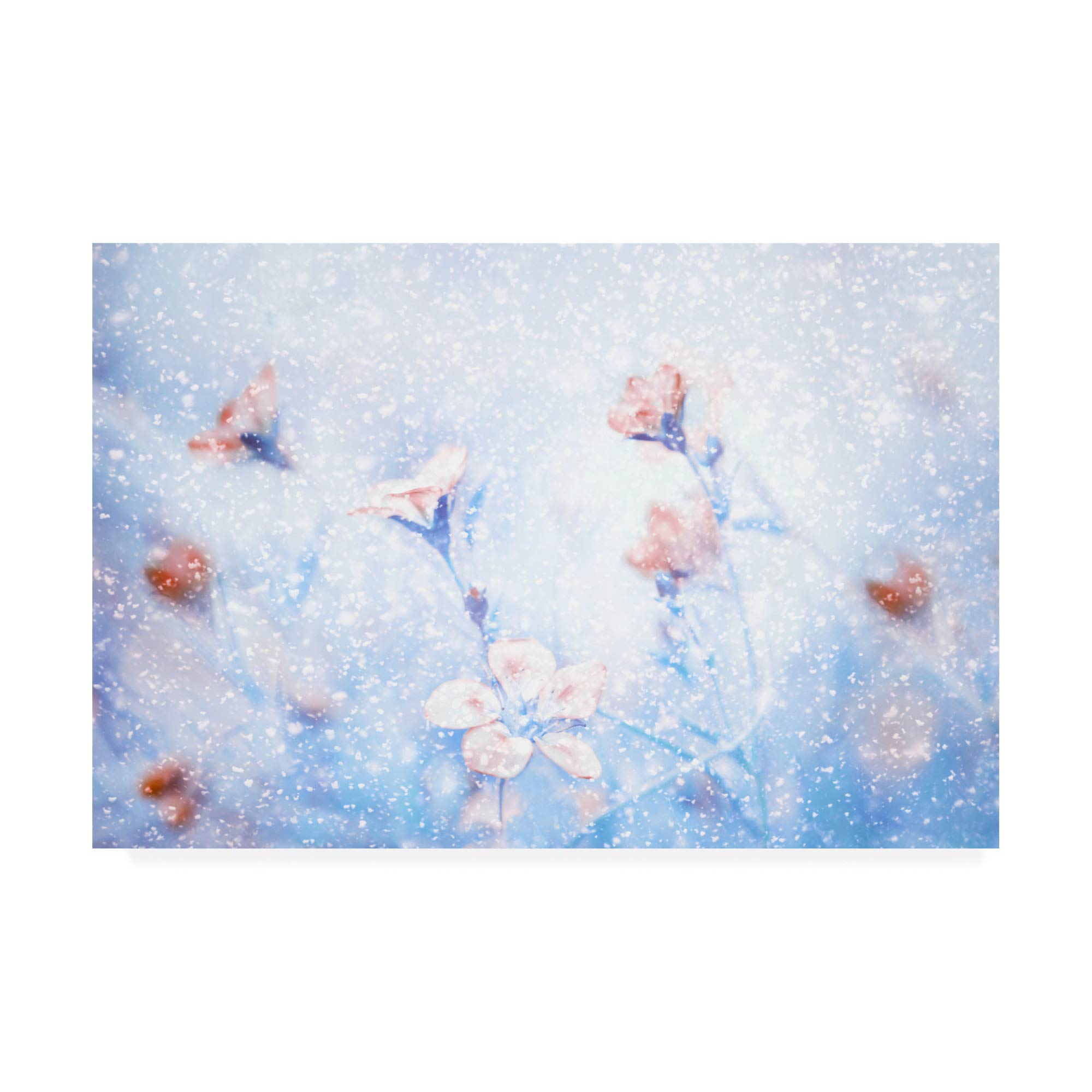 Trademark Fine Art Winter Garden by Delphine Devos, 12x19