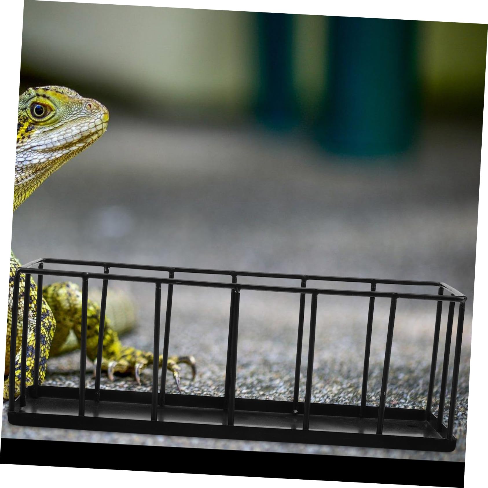 FRCOLOR Comedero para Reptiles de Acero Inoxidable Base Antideslizante, Bandeja Pequeña para Tortugas y Lagartos, Cuenco Resistente Negro, Uso en Terrarios para Mascotas Reptilianas