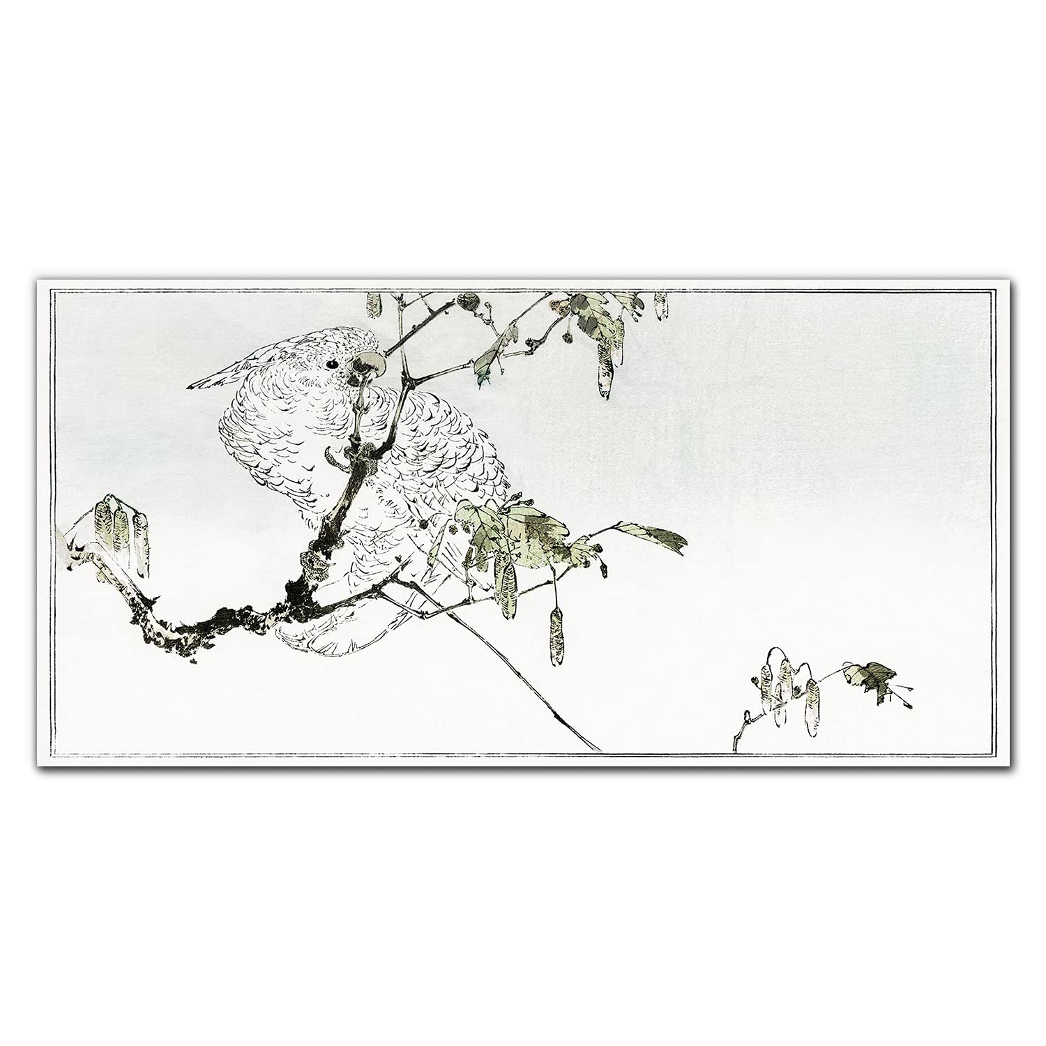 Crédence de cuisine en verre trempé 140x70 cm avec motif de perroquet animal
