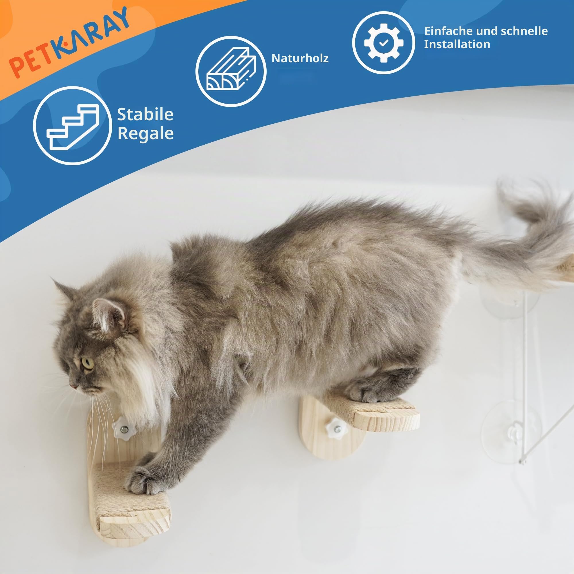 PETKARAY Katzenfensterstange, Faltbare Katzenhängematte für Fenster, stabile Fensterregale für Indoor-Katzen, Set beinhaltet 2 Stück Fenstertreppe