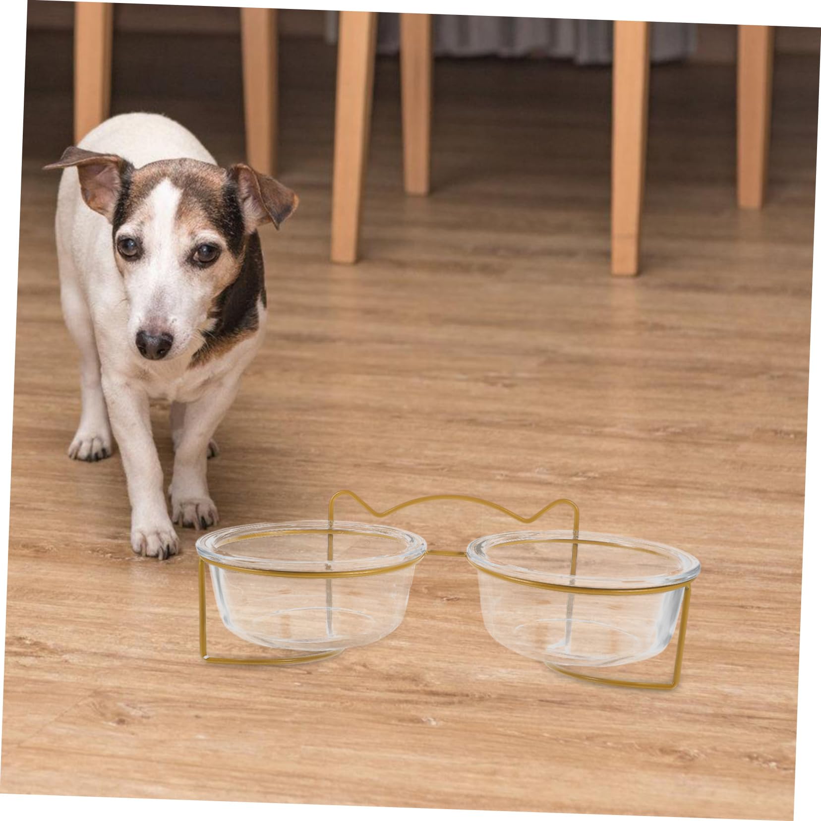 Toyvian Gamelle Double en Verre Inclinée pour Animaux de Compagnie, Bol Surélevé Facile à Laver Support Créatif en Métal, Adapté pour Chats et Chiens