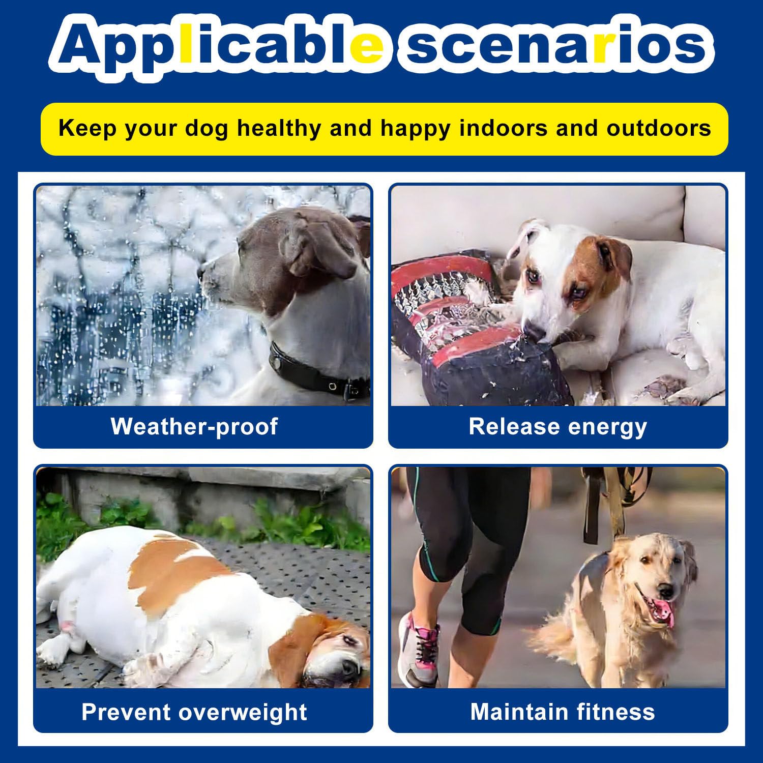 Fitness-Laufband für Haustiere, Hundelaufband, leiser Motor und einstellbare Geschwindigkeiten, mit Sicherheitszaun, Hundelaufband für große Hunde, Hundelaufband für mittelgroße Hunde