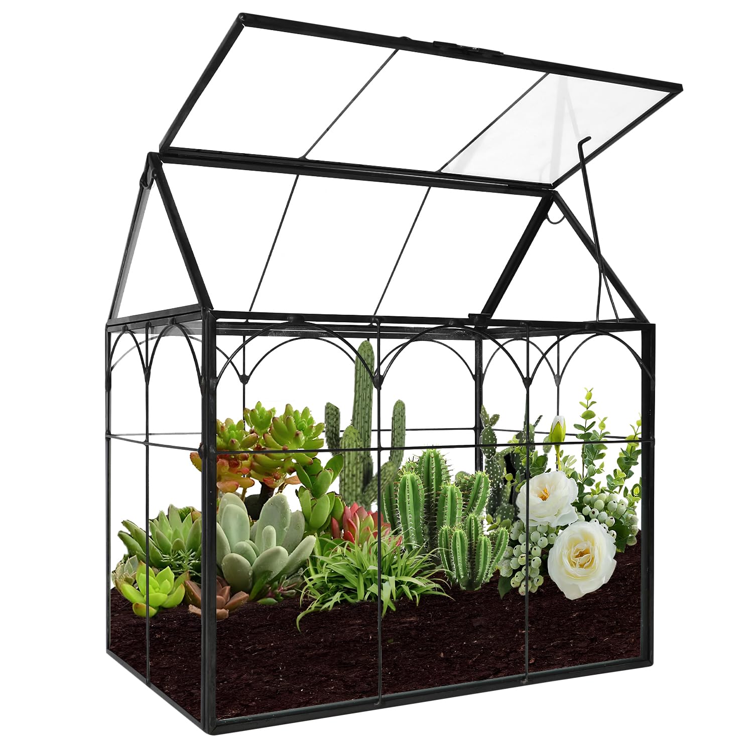 Terrarium en verre 22 cm pour plantes carnivores grasses géométrique
