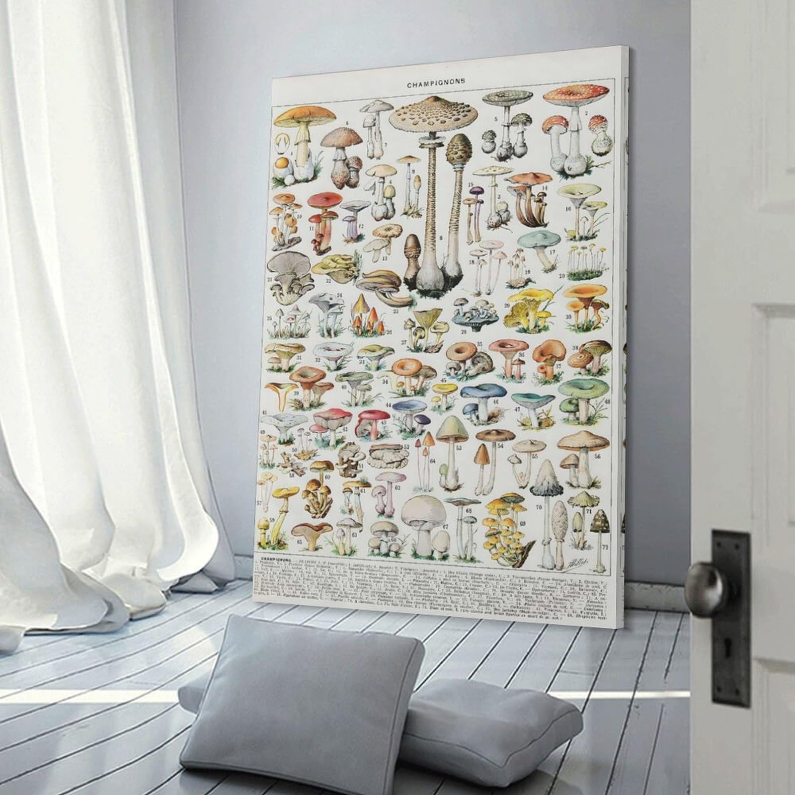 Junmoney MUSHROOMS CHAMPIGNONS Canvas Wall Decor, 20x30inch(50x75cm), for Bedroom, Guest Room Or Reading Nook, Canvas Wall Decor for Personal Spaces