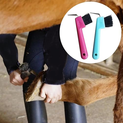 Miniatura 3 de 2 piezas de cepillo de pezuña de repuesto portátil cepillo de caballo de herradura con agujero para colgar suministros de limpieza, color al azar