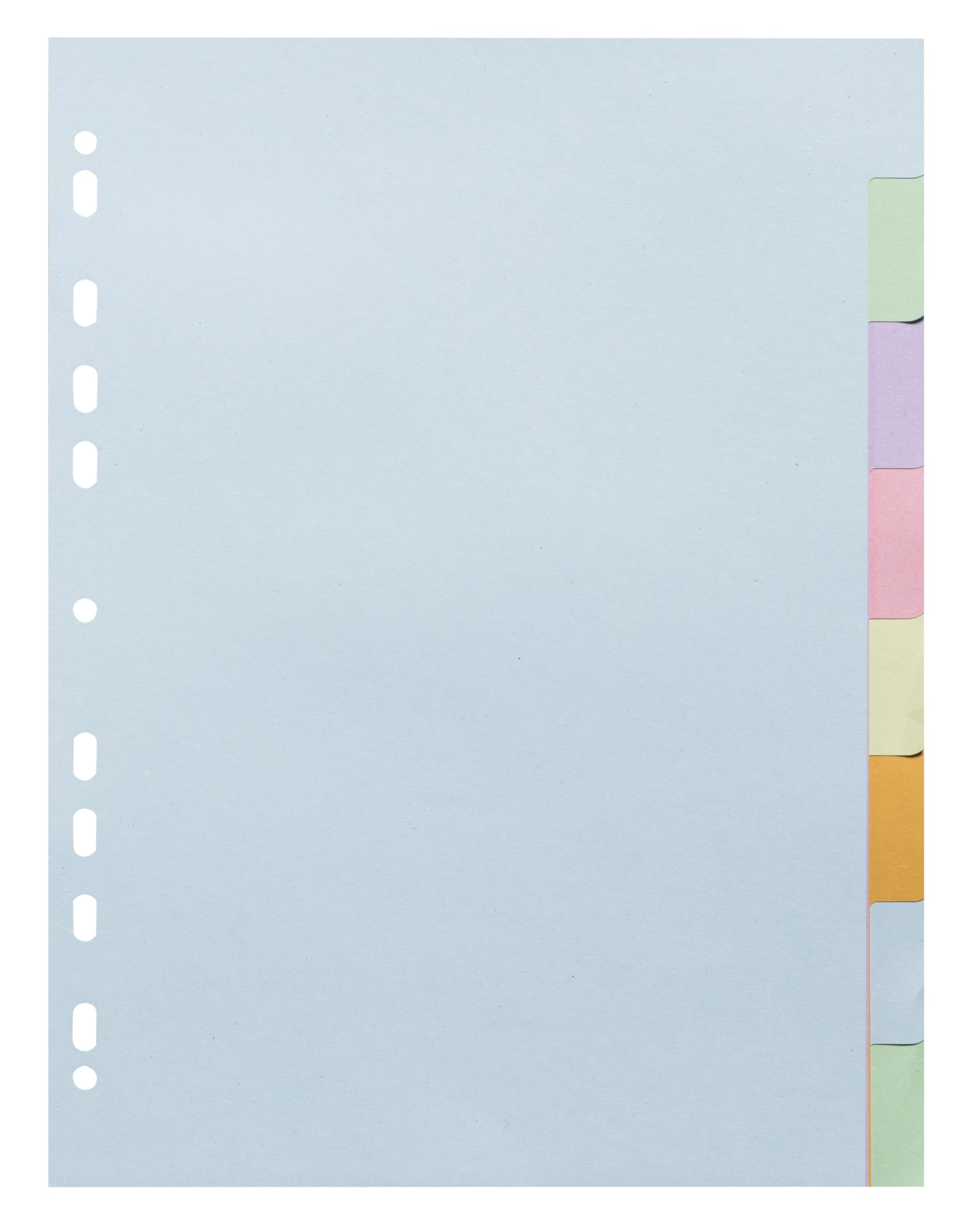 Exacompta, Ref 1608E, Box of 30 Pastel Card Dividers 170 g/m2 Forever with 8 Neutral Tabs, A4 Size, Size 22.5 x 29.7 cm - Image 2