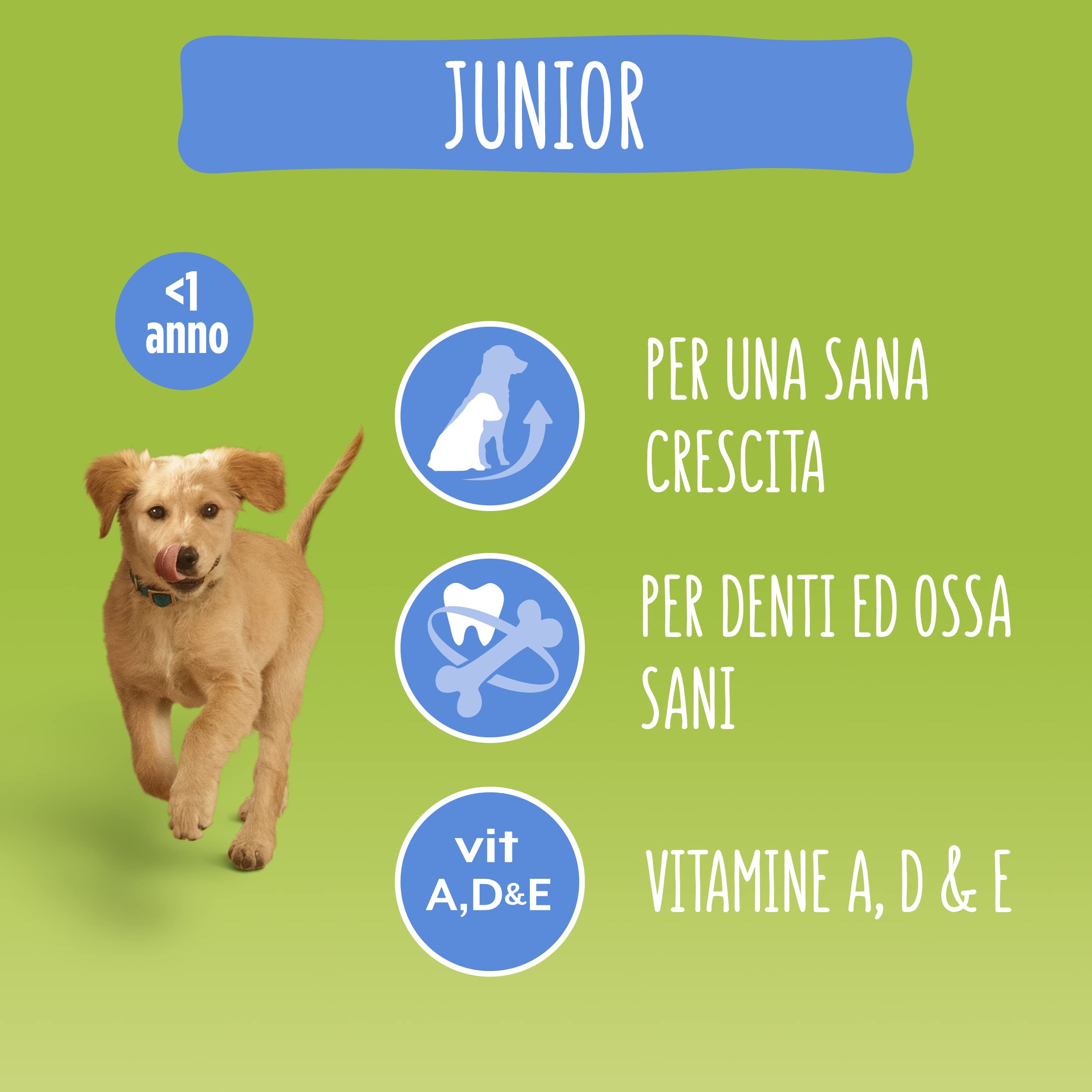 Purina Friskies Junior Croquettes Chiens avec Poulet, Légumes et Lait, 6 Boîtes de 1,5 kg