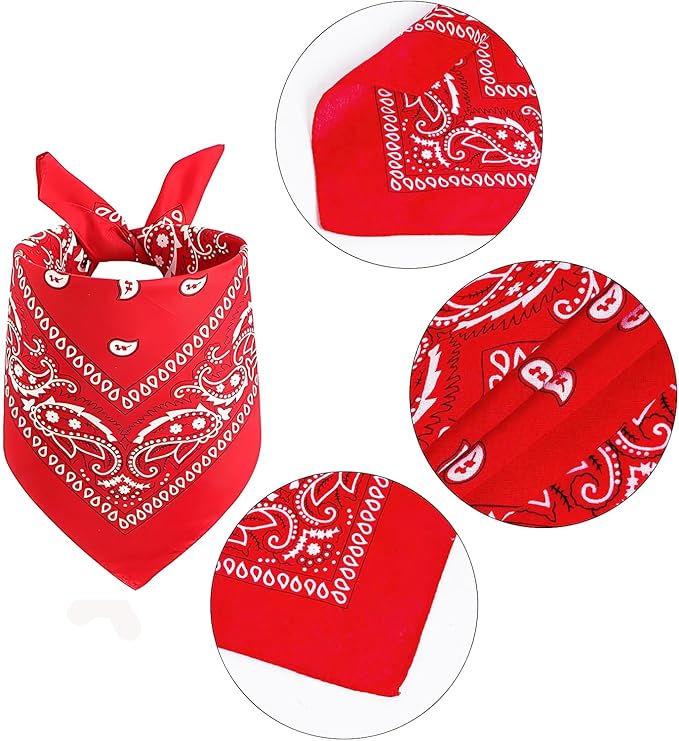 Sombrero de Vaquero y Pañuelos para Perro - Disfraz Vaquero Halloween miniatura 3