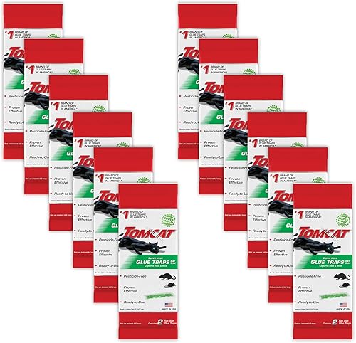 Tomcat Trampas de pegamento Super Hold, tamaño de rata, 2 trampas/paquete (paquete de 12)