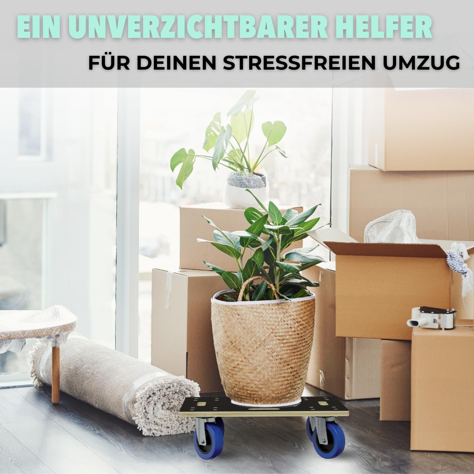 HAGO24 Möbelroller ohne Bremse in 35x50cm I Schwerlast-Rollbrett bis 800kg I Möbel-Transportroller mit Griffmulden I hochwertiger Rollwagen für Umzug I Stabile Transporthilfe mit Rollen