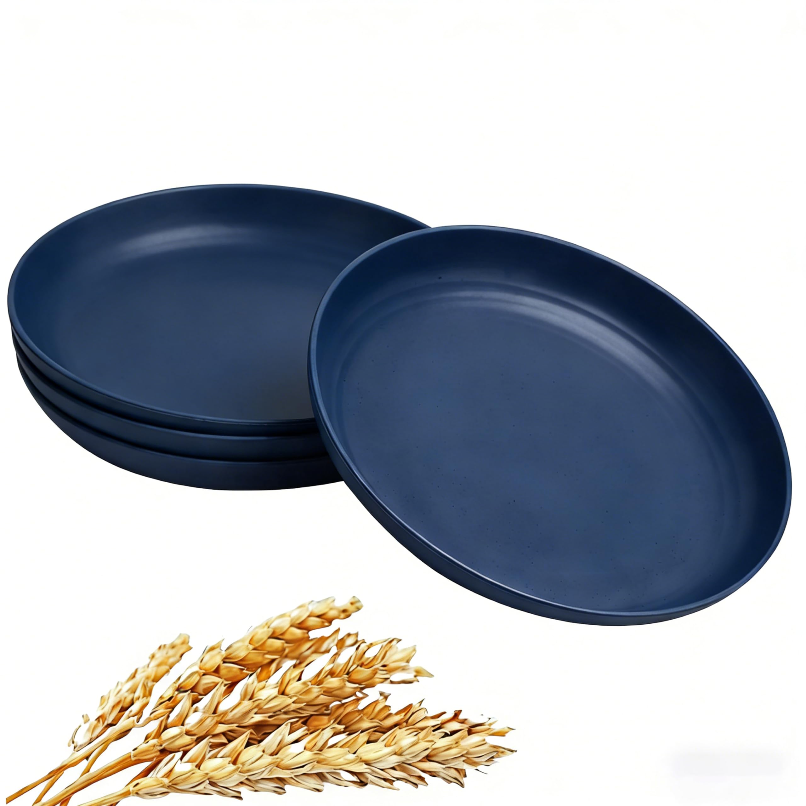 GZTFPQ Reusable Plastic Dinner Plates 4 Pack, 25cm Deep Blue