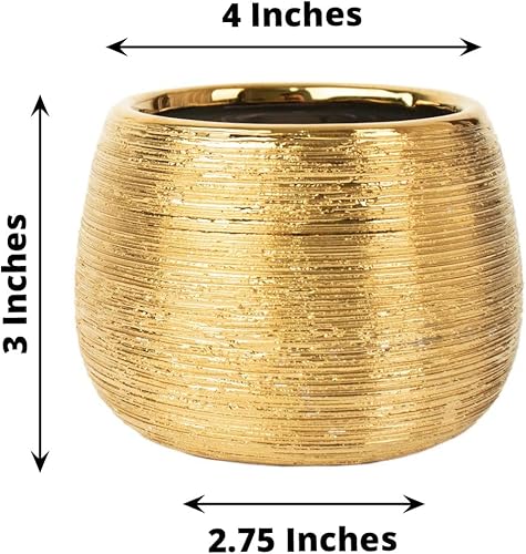 Miniatura 3 de Efavormart - Paquete de 4 macetas de cerámica texturizada dorada de 3 pulgadas, macetas redondas cepilladas para interiores