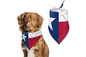 Texas Bandana: Lone Star Pride for Your Pet