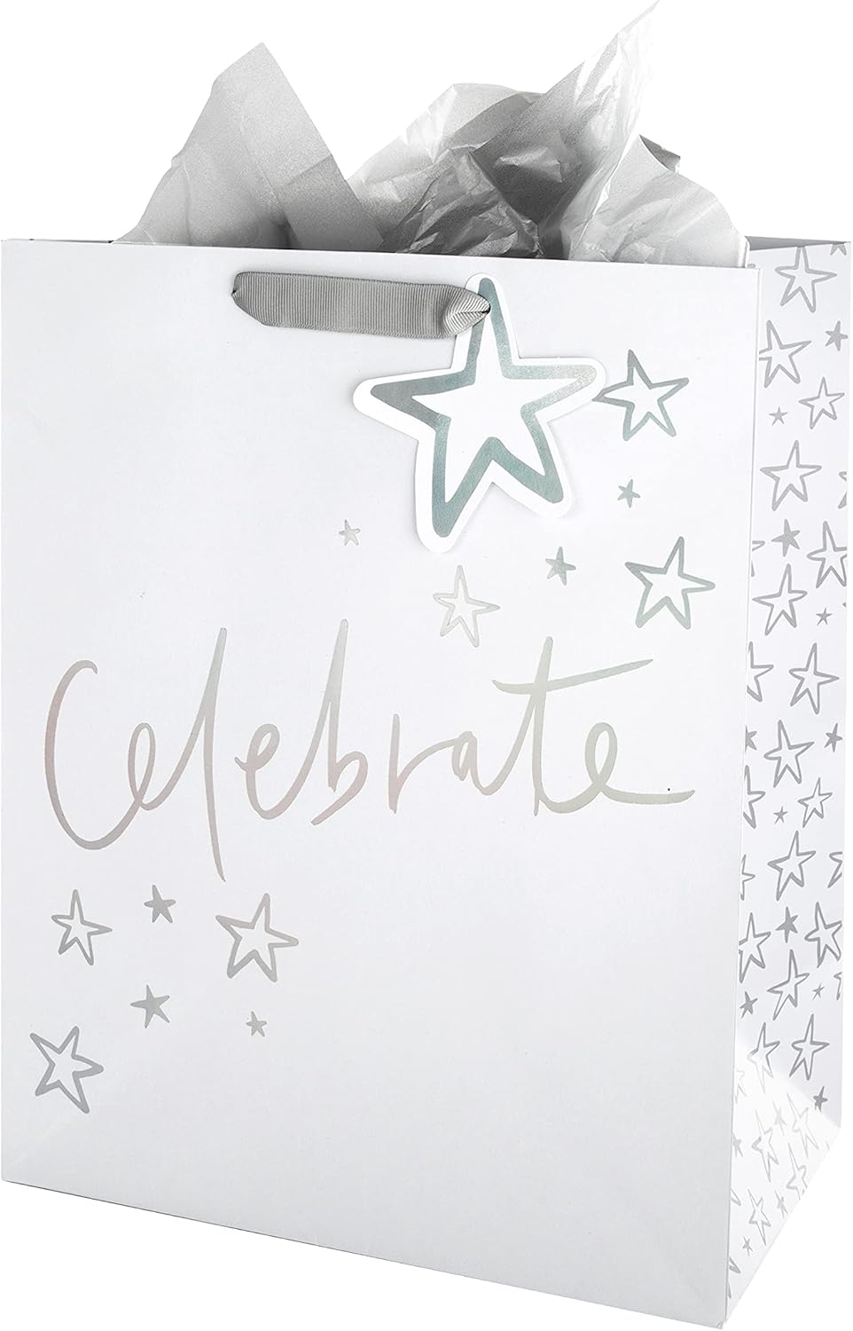 Hallmark Celebration Gift Bag, Gift Wrap and Card Bundle - 1 Large Gift Bag, 3 Tissue Paper Sheets and 1 'Gallery' Card in 3 Contemporary Designs