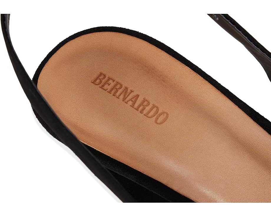 Bernardo Vega - Right View