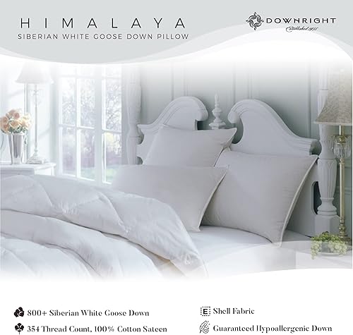Miniatura 2 de Downright Almohada de plumón Himalaya de 354 hilos, 21 onzas, 20 x 36 pulgadas, tamaño King 20 x 36