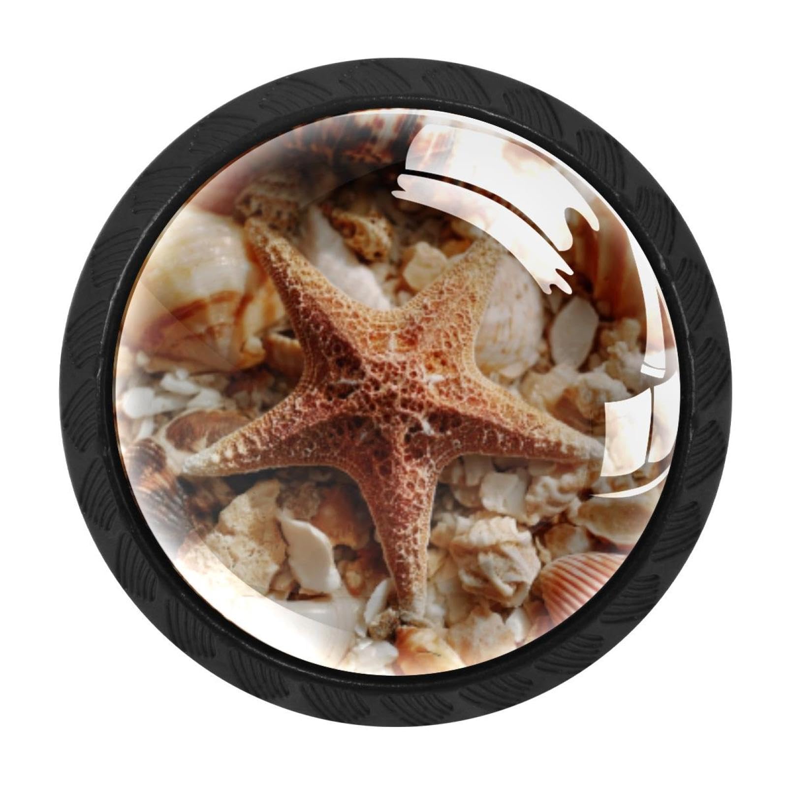 CHENZZZZ 4 Pack Cabinet Handles Black Starfish Shell Conch Background (1) Cabinet Knobs Draw