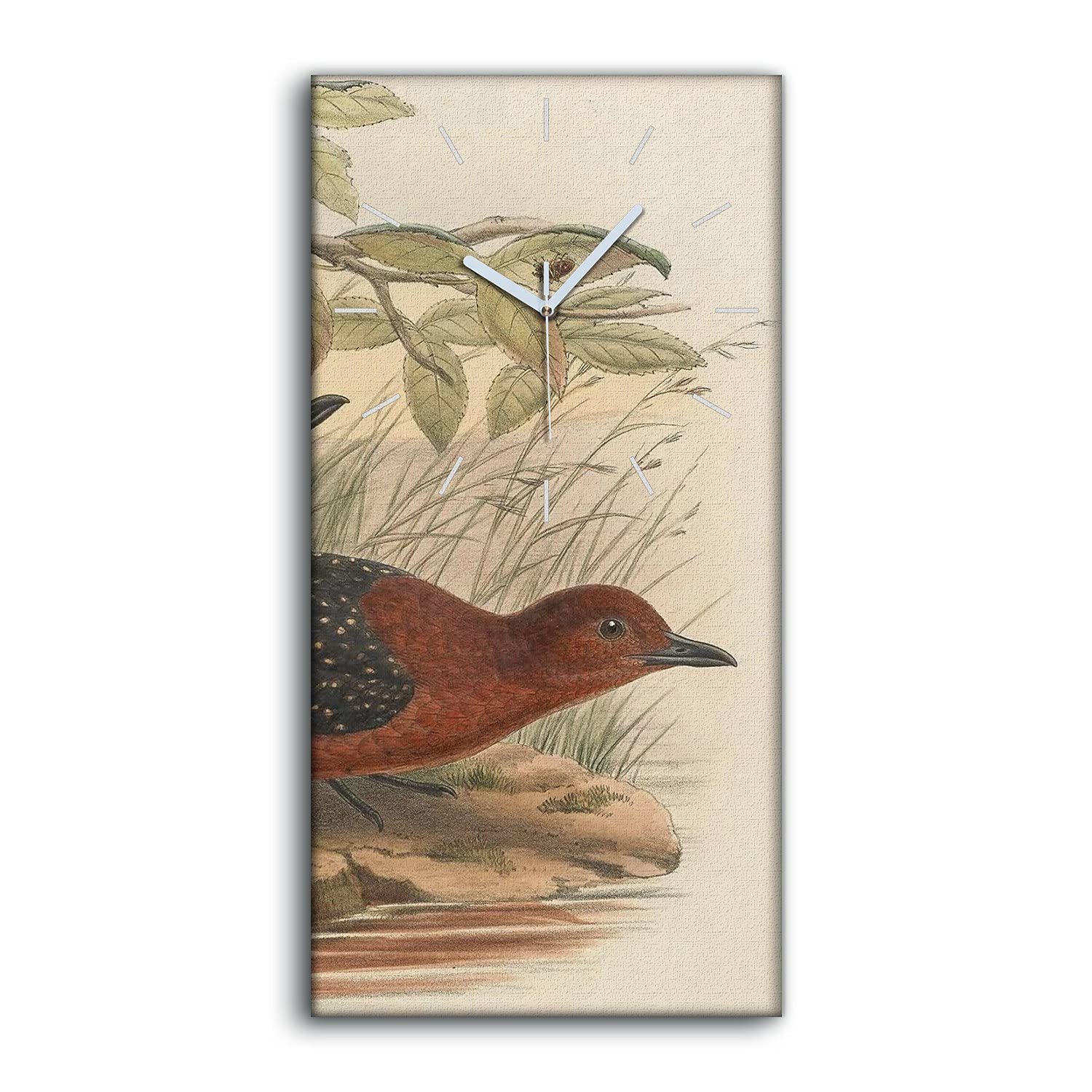 Horloge sur Toile Silencieuse sans Bruit Art Mural Image Oiseaux 30x60