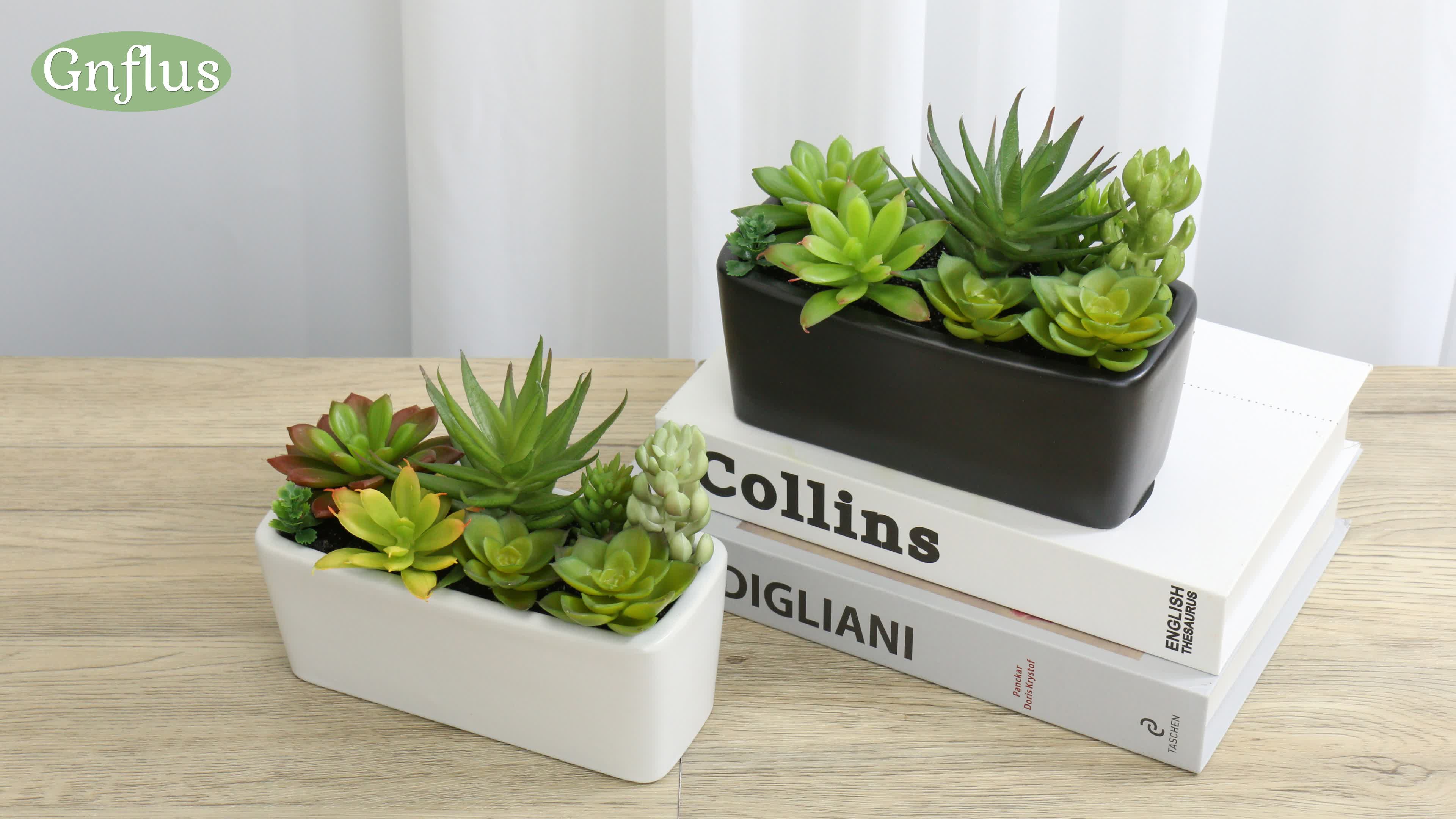 Amazon.com: Artificial Succulents Plants in Ceramic Planter Assorted Faux  Succulents in Pots Arrangement Fake Succulent Potted Plant for Home Office  Desk Bathroom Shelf Living Room Indoor Outdoor Decor - White : Home