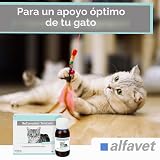 Ver la foto 5