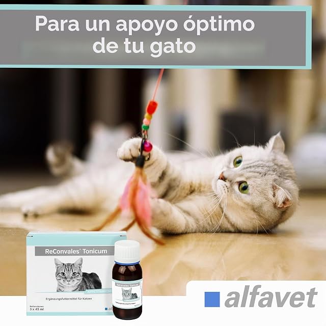 Foto 5 de 8 de Reconvales Tonicum 3 x 45 ml para gatos