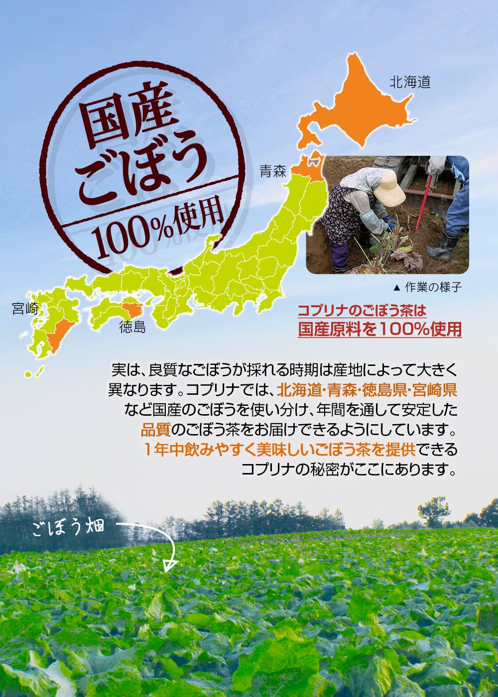 Amazon | コプリナ 国産焙煎ごぼう茶 1.5gx50包 2個セット テトラ型