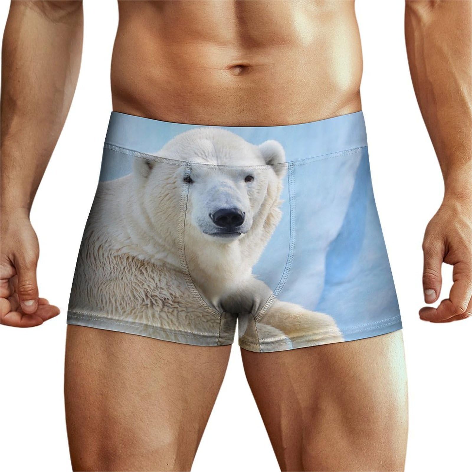 MQPYWLH Polar Bear Men's Underwear Boxer Briefs Comfort Flex Waistband Underpants