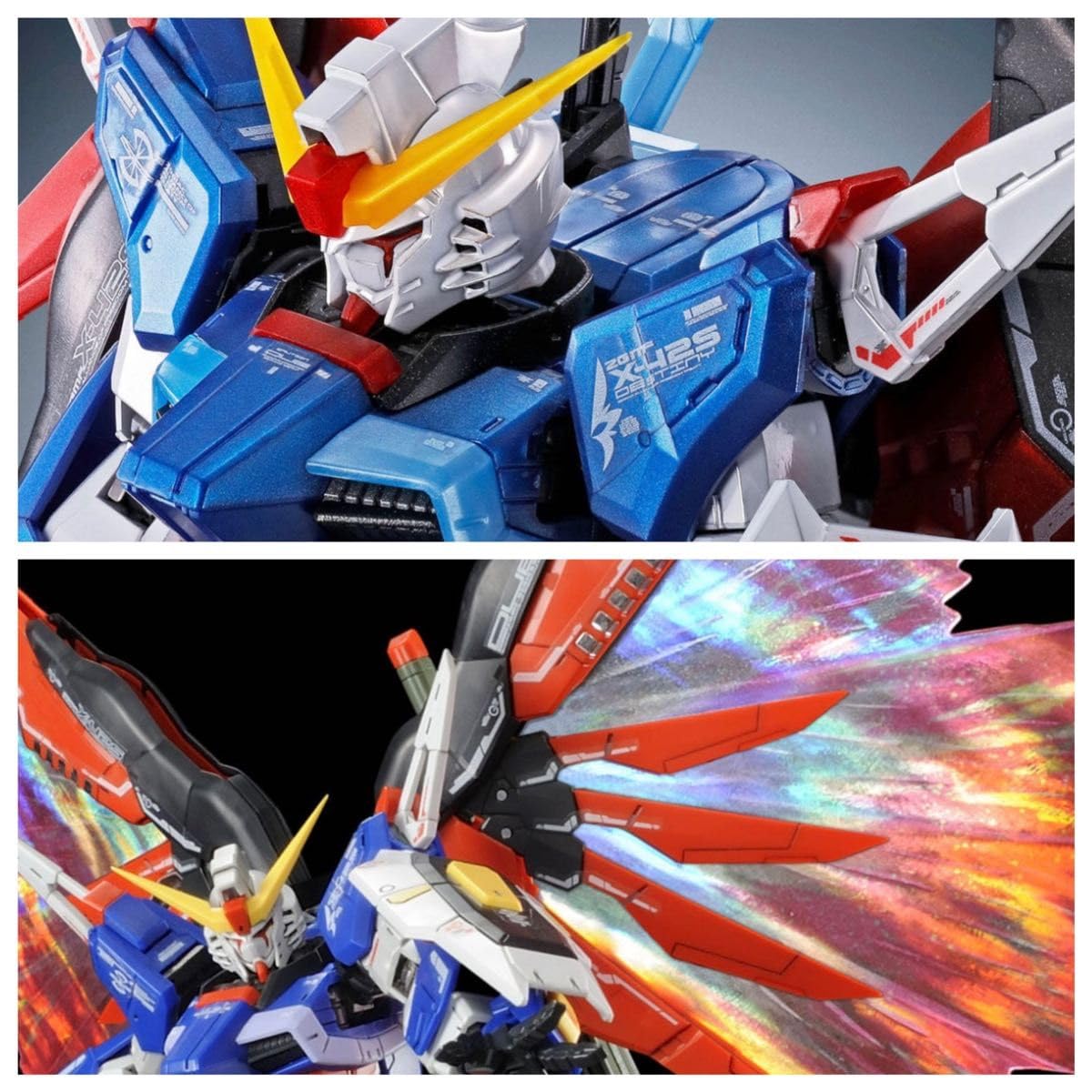 RG デスティニーガンダム チタニウムフィニッシュ 光の翼 セット