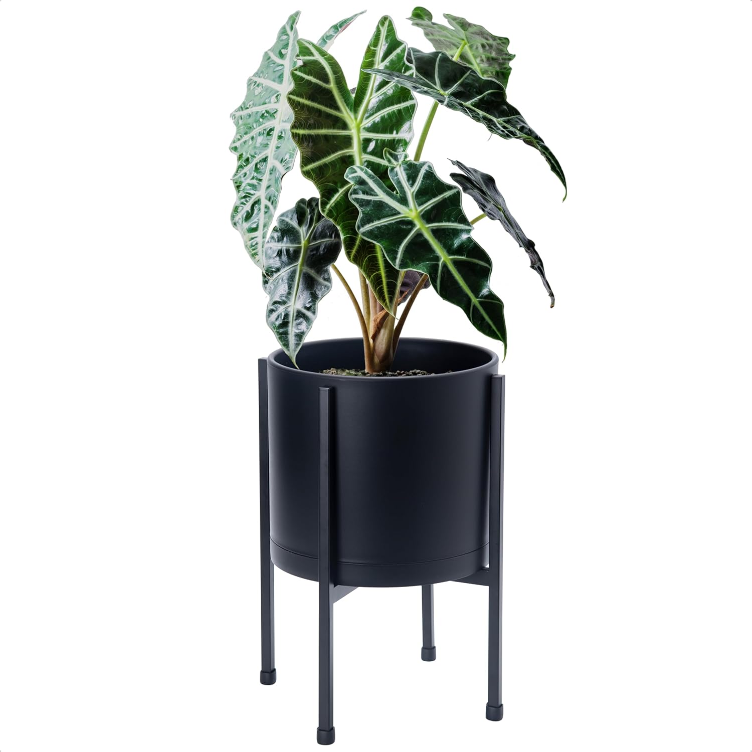 D'vine Dev 8 Inch Black Planter Pot with Stand – Modern Plastic Cylinder Flower Pot with Heavy-Duty Metal Stand for Indoor Plants, 55-D-B-1