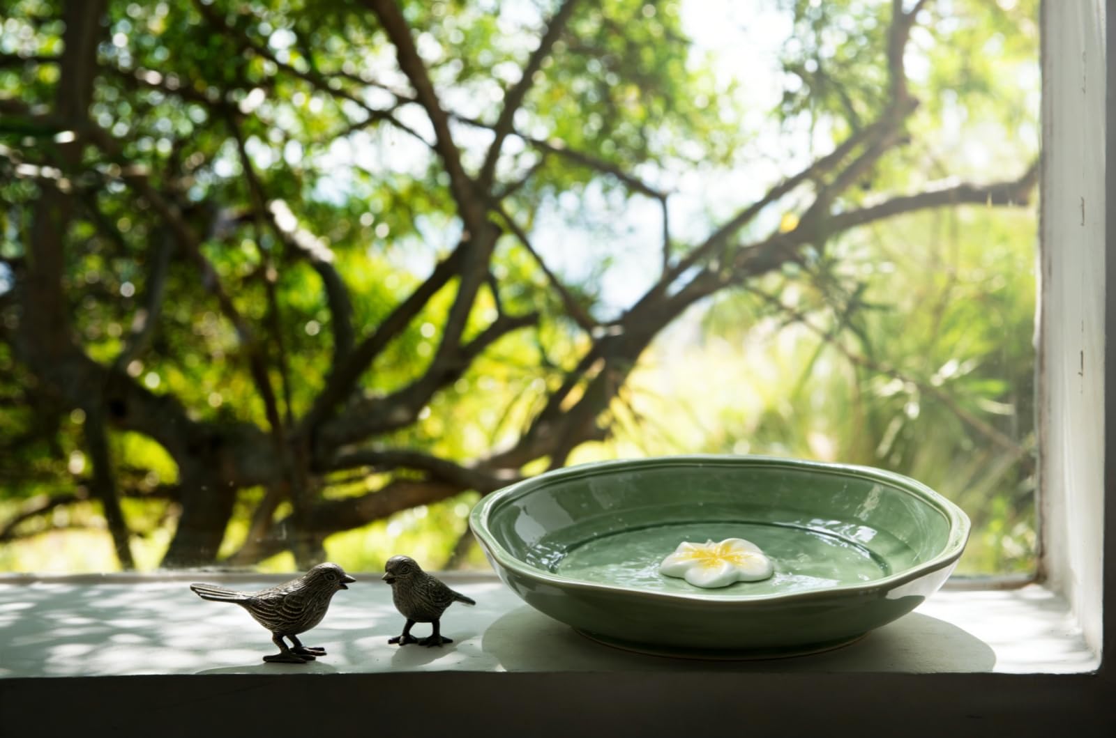 Cuenco decorativo de cerámica verde claro de 11.8 pulgadas para baño de pájaros silvestres de alta temperatura para jardín al aire libre, solo cuenco