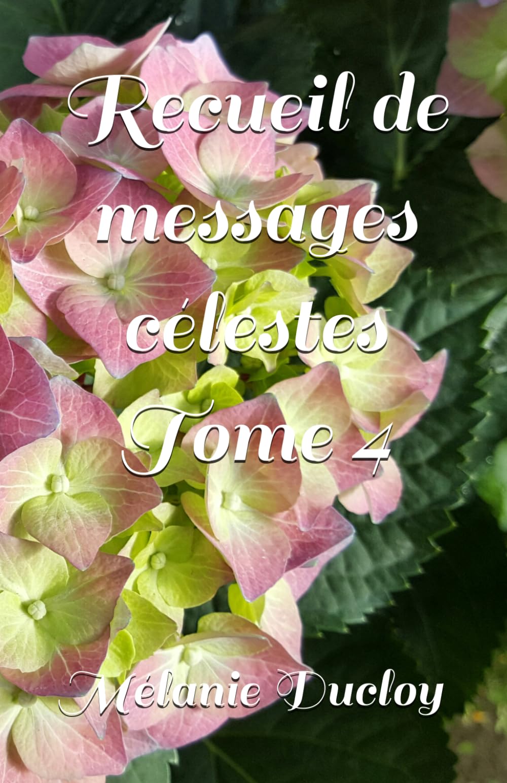 Recueil de messages célestes Tome 4