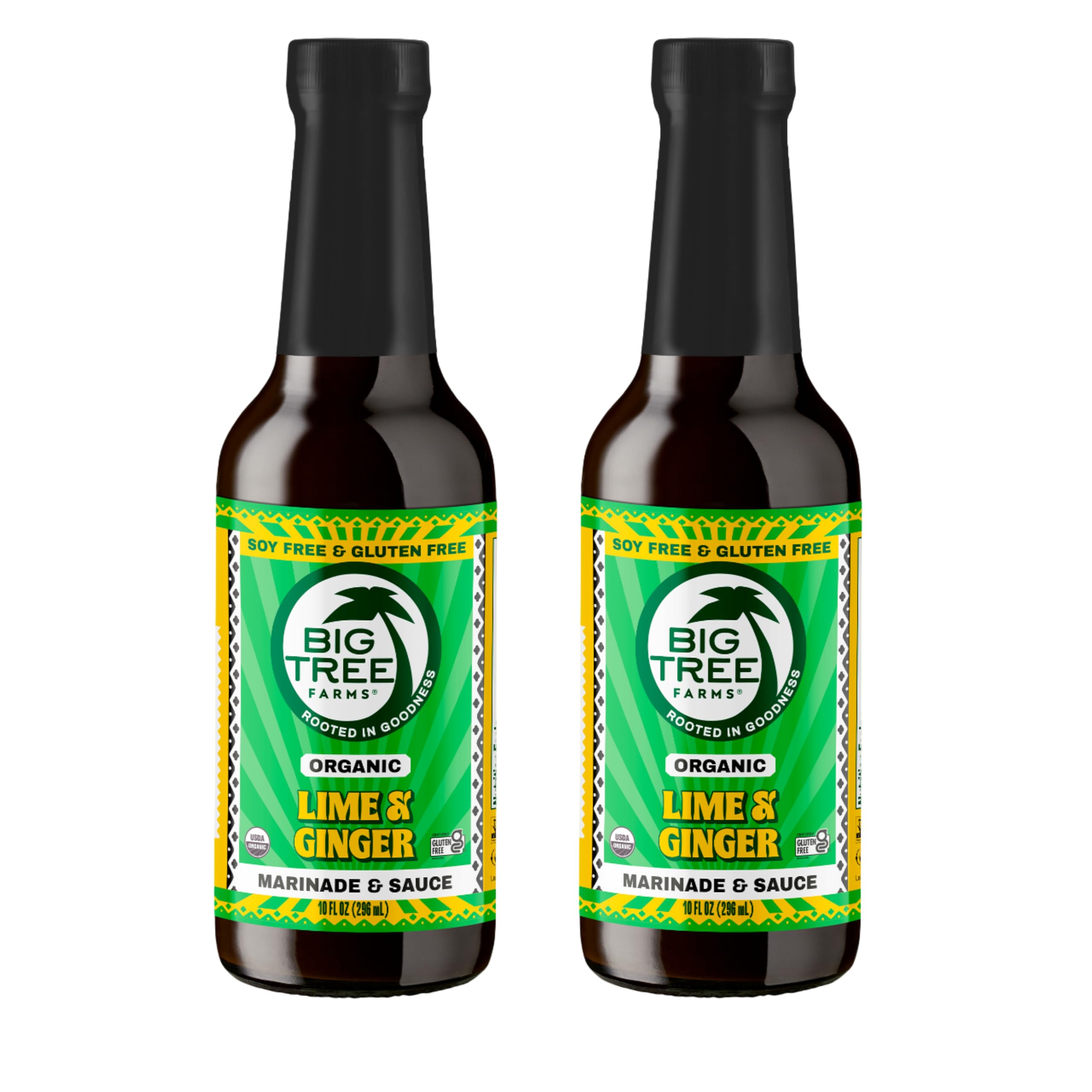 Big Tree Farms Organic Coco Aminos - Liquid Coconut Aminos, Soy-Free Sauce, Low Sodium, Soy Alternative, Gluten Free, Kosher, Marinade & Sauce, Non-GMO - Gingery Lime, 10 Fl Oz (Pack of 2)