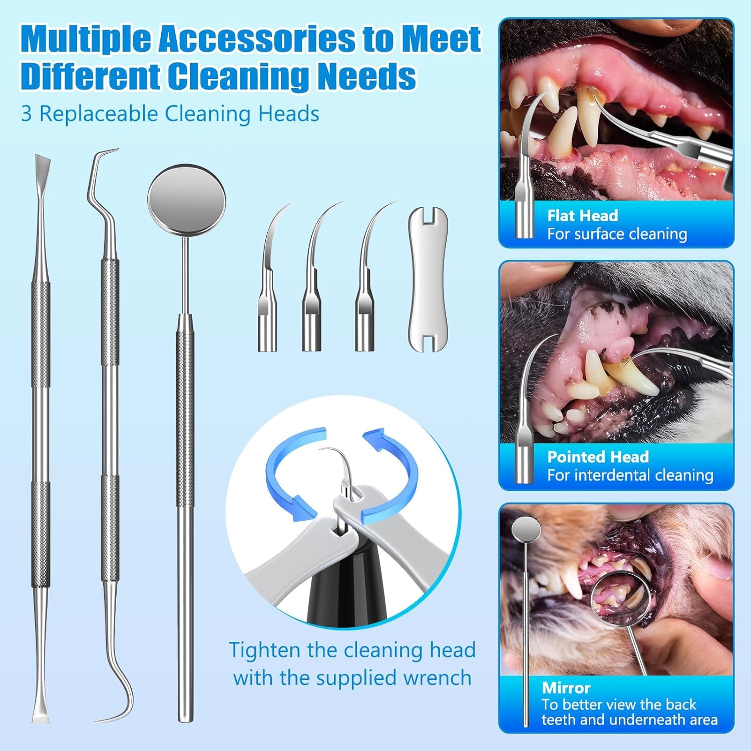 KT Dog Teeth Cleaning Kit for Small & Large Dogs – Complete Pet Dental Care Set with Enzymatic Toothpaste, Dual-Head & Finger Toothbrush – Plaque & Tartar Remover, Fresh Breath Oral Hygiene Solution - image 5