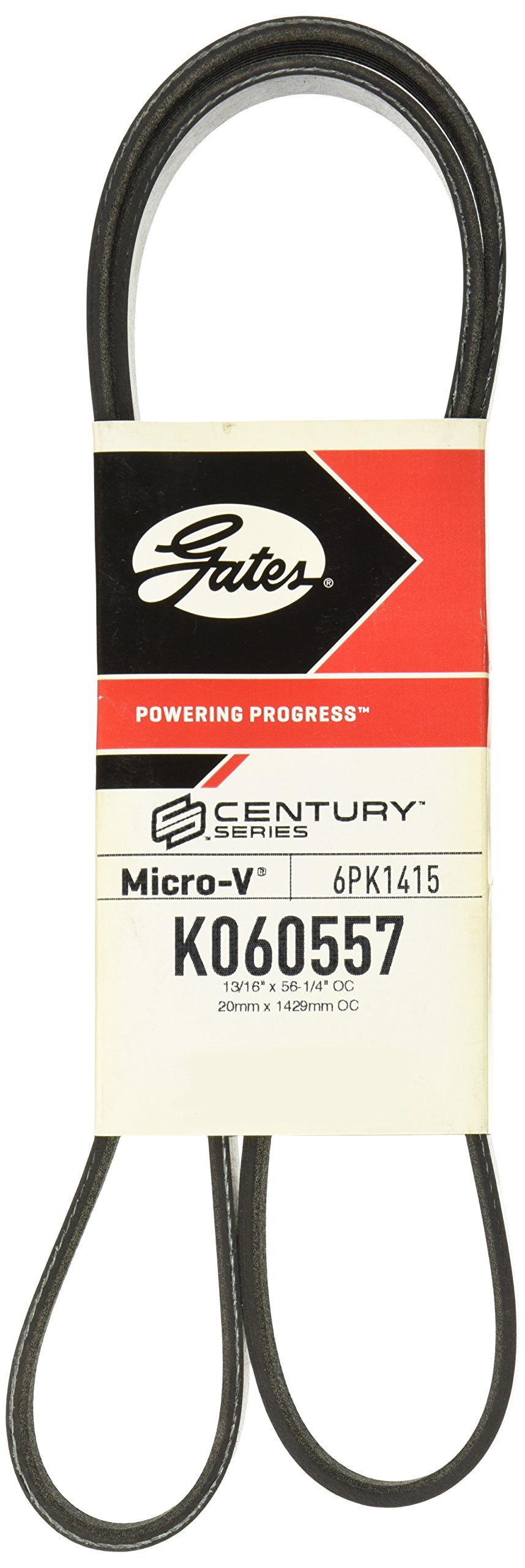 Amazon.com: Micro-V Serpentine Drive Belt : Automotive 