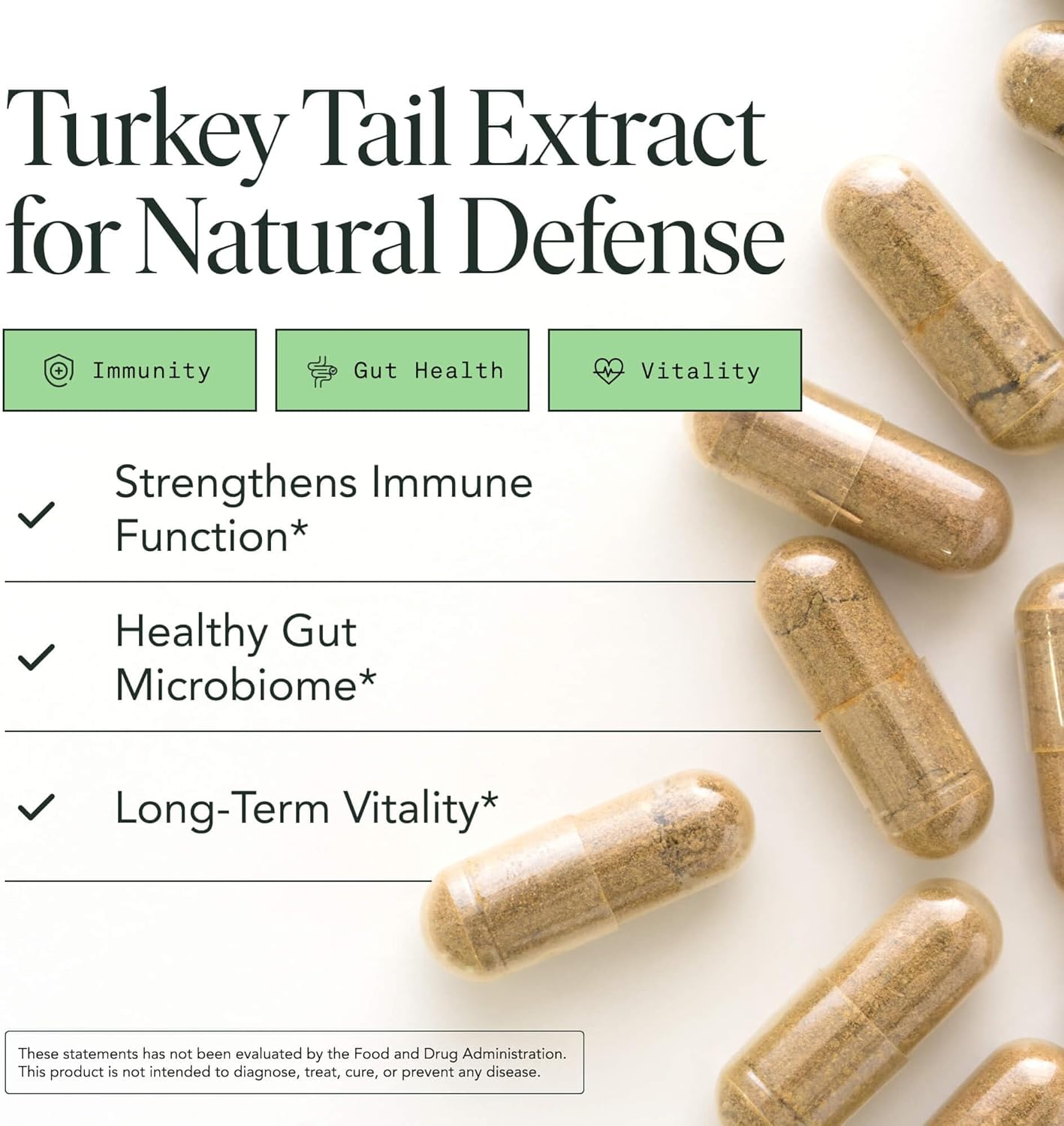 Fantastic Fungi Turkey Tail Mushroom Capsules - Organic Mushroom Extract for Gut Health & Immune Support, Functional Adaptogenic Turkey Tail Extract Supplement, Vegan Pills, 120 Caps (2-Month Supply) - Image 2