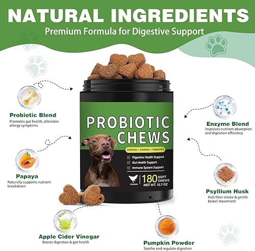 Miniatura 3 de Probióticos para perros  180 probióticos masticables para perros con 5 enzimas y 4 prebióticos para la salud digestiva e intestinal  Diarrea y apoyo